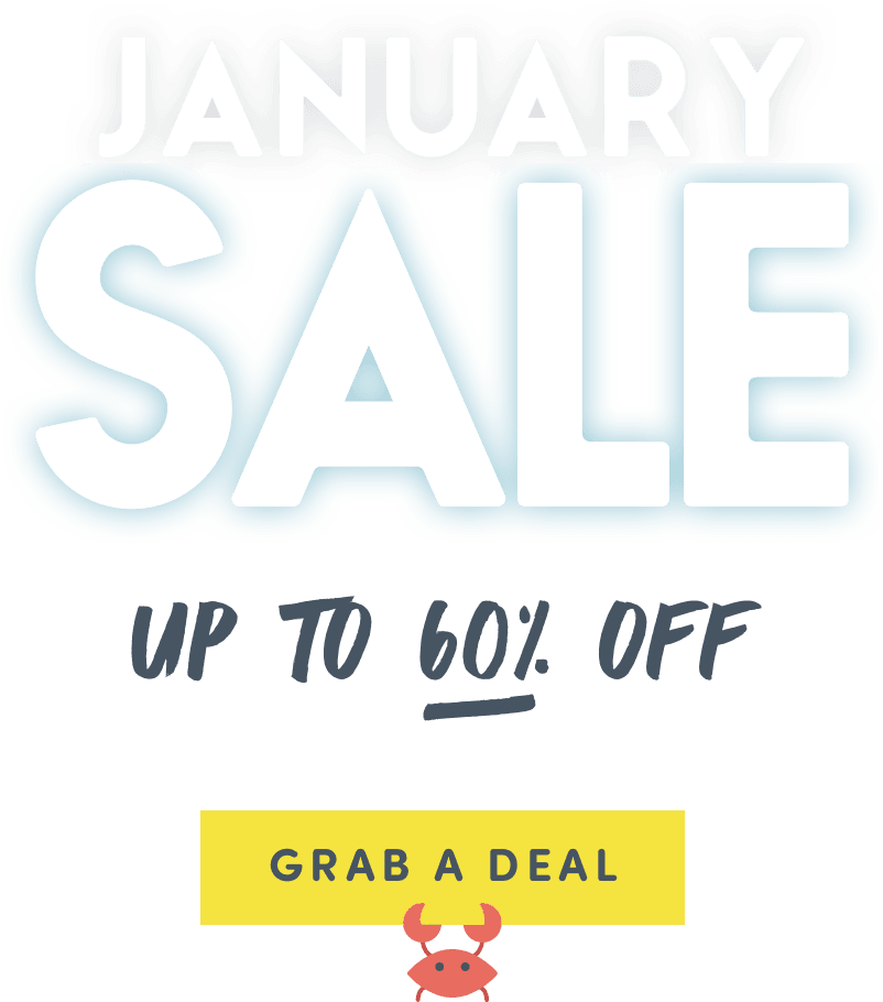 January Sale 2017